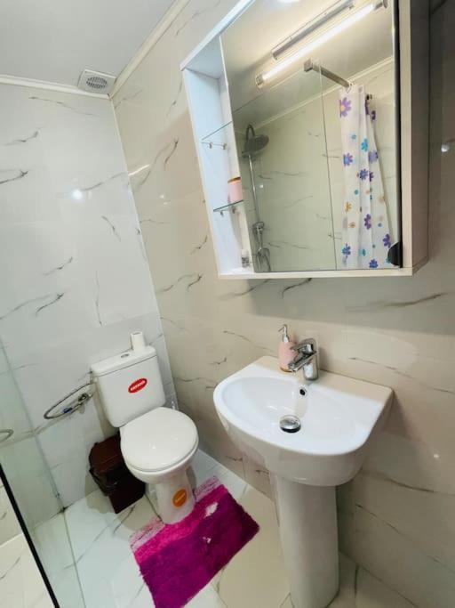 Lavender Luxury Apartment Oradea Eksteriør billede